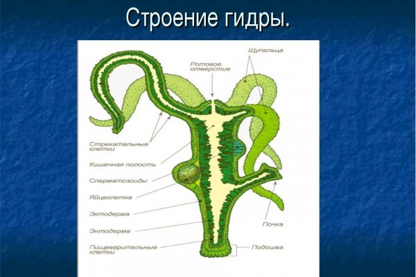 Кракен ссылка стор