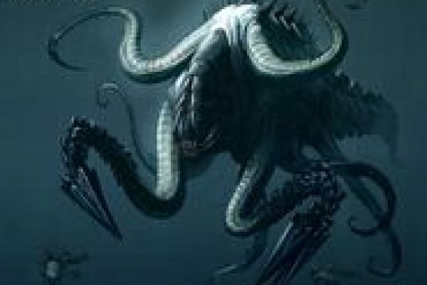 Kraken marketplace darknet