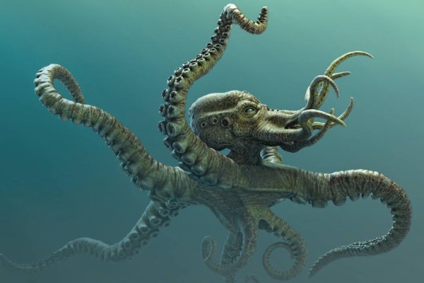 Kraken домен